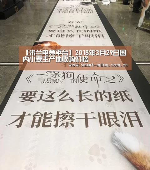 【米兰电竞平台】2018年3月29日国内小麦主产地收购价格