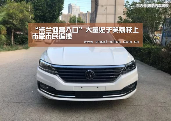 “米兰体育入口”大量妃子笑荔枝上市受市民追捧