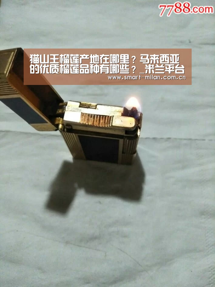 猫山王榴莲产地在哪里？马来西亚的优质榴莲品种有哪些？_米兰平