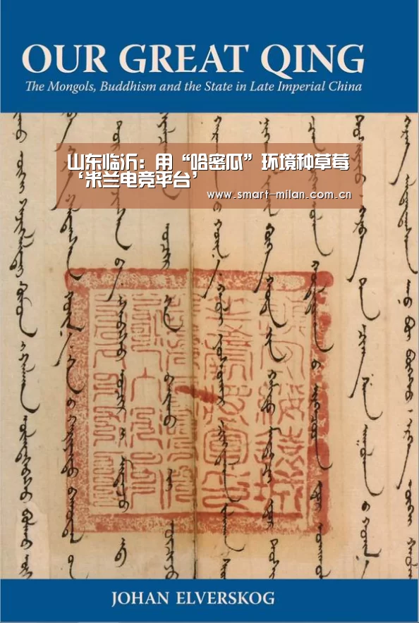 山东临沂：用“哈密瓜”环境种草莓‘米兰电竞平台’