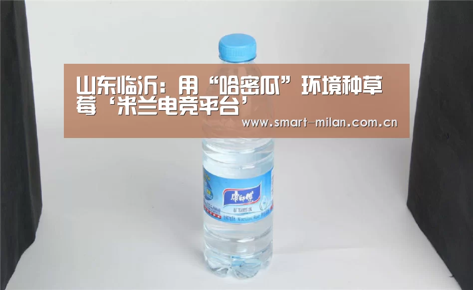 米兰体育入口